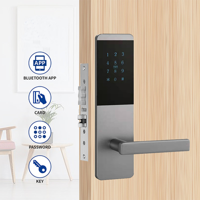 4 in 1 알루미늄 합금 아파트 스마트 TTlock 터치 키보드와 문 잠금
